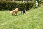 merly und sky 17